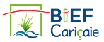 BIEF-Cariçaie